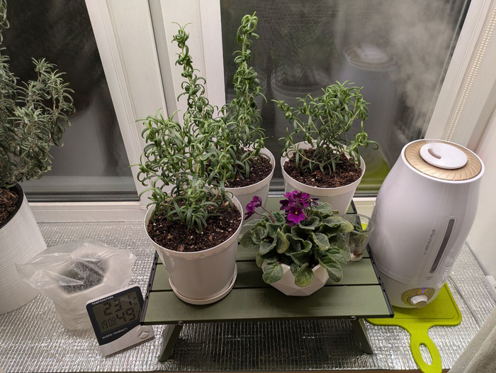 13-� �������