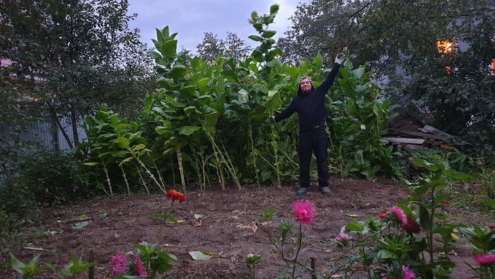 �������� � ����������