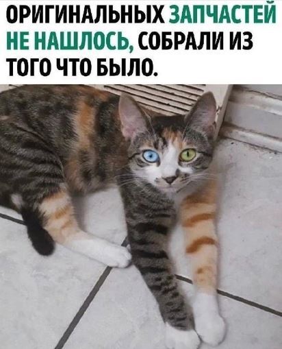 ����������������...