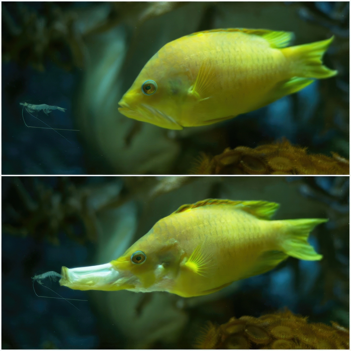 � ����� ����� �������� ��������� �� ������������. �� ���� � ���� ������ �������!