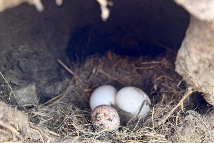 � �������� ����� ����� �������� ����� ������ ����������. ���� ��������� �� ������� ���������� ��� ��� ����������. �� ���� ������ ���� �� ������ ��������!