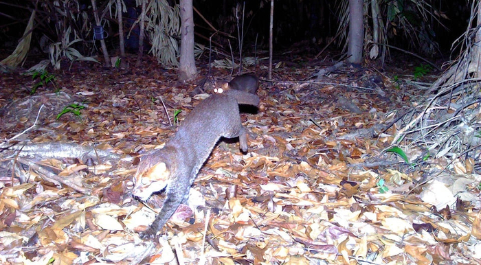 ��� ������ �������� �� ����������� ��������!