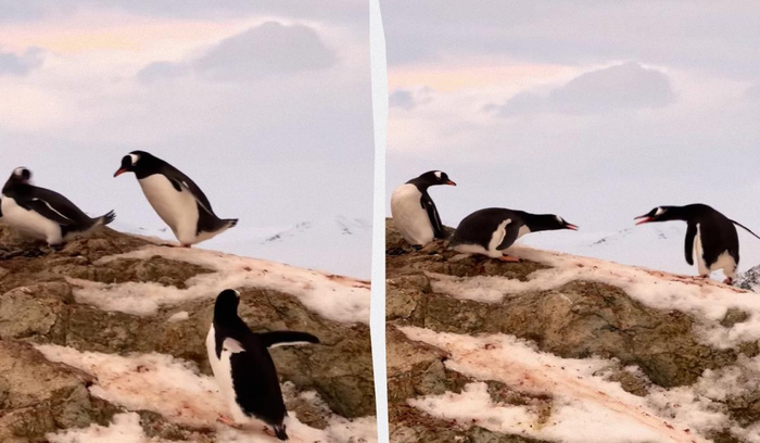 � ��������� ����� �������� �������� ����� ������ ����� �� ����� � ��� ������!