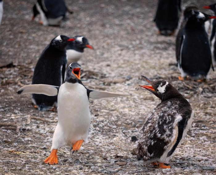 ����� � ���� �������� �������, � ��, ������ ������, ������ �� ���������.