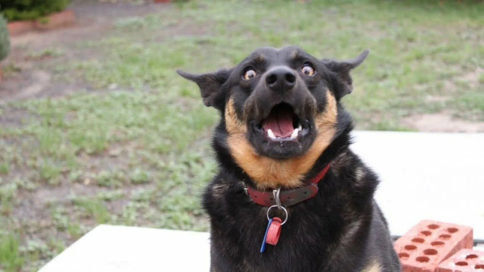 � �� ����! �� � �����!