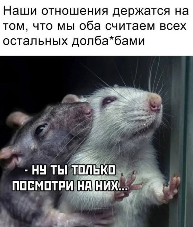 ������ ������ �������� �����