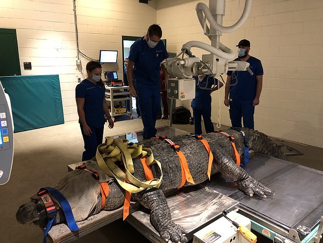 �� ���� �� ���� �� ������� ���������� �� ������������, � ��������� �� ����� ���, �������� ���� ������� ������� � �������� ������������ �������� ������������ ������� � ������ ���������� � ��������.