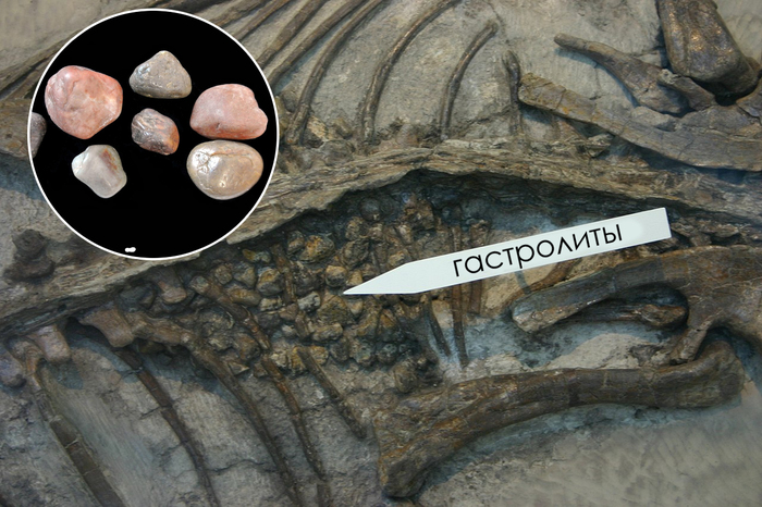 ���������� ������������� �� ������ ��������� ������� �� ������� �������� �������.