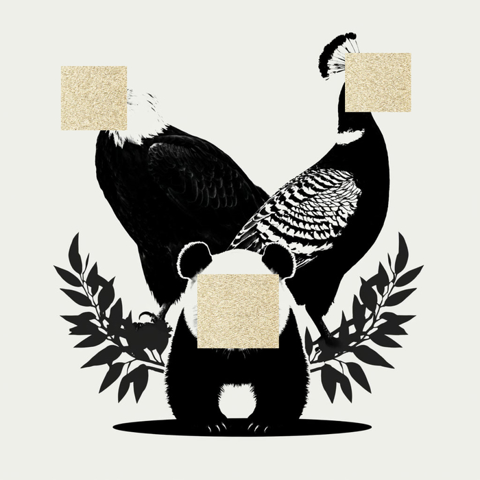 ���19.18. ������������ �������������� �������� (���) � �� ����������