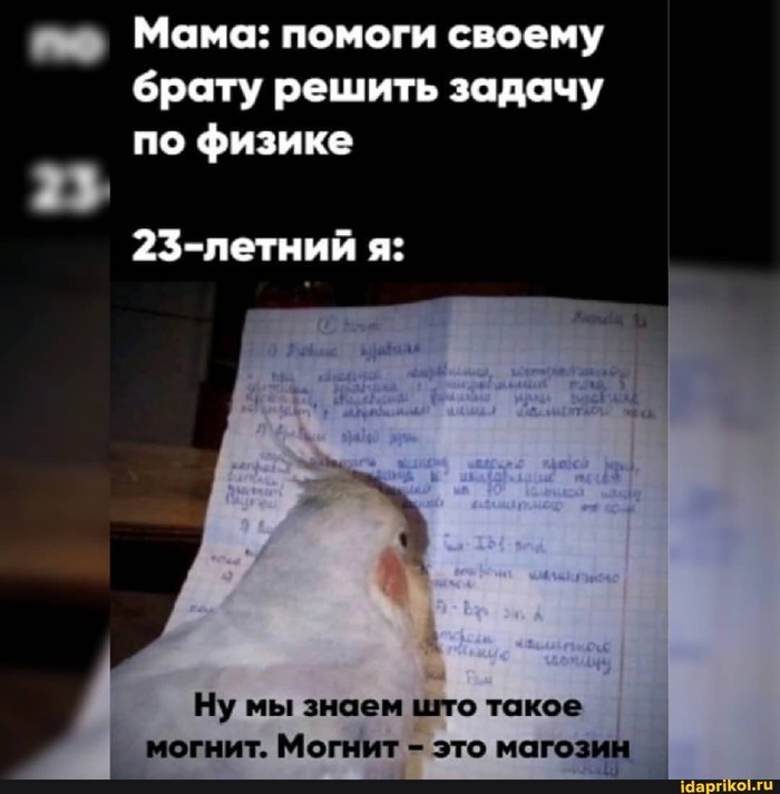 ��� �������� ������� ���