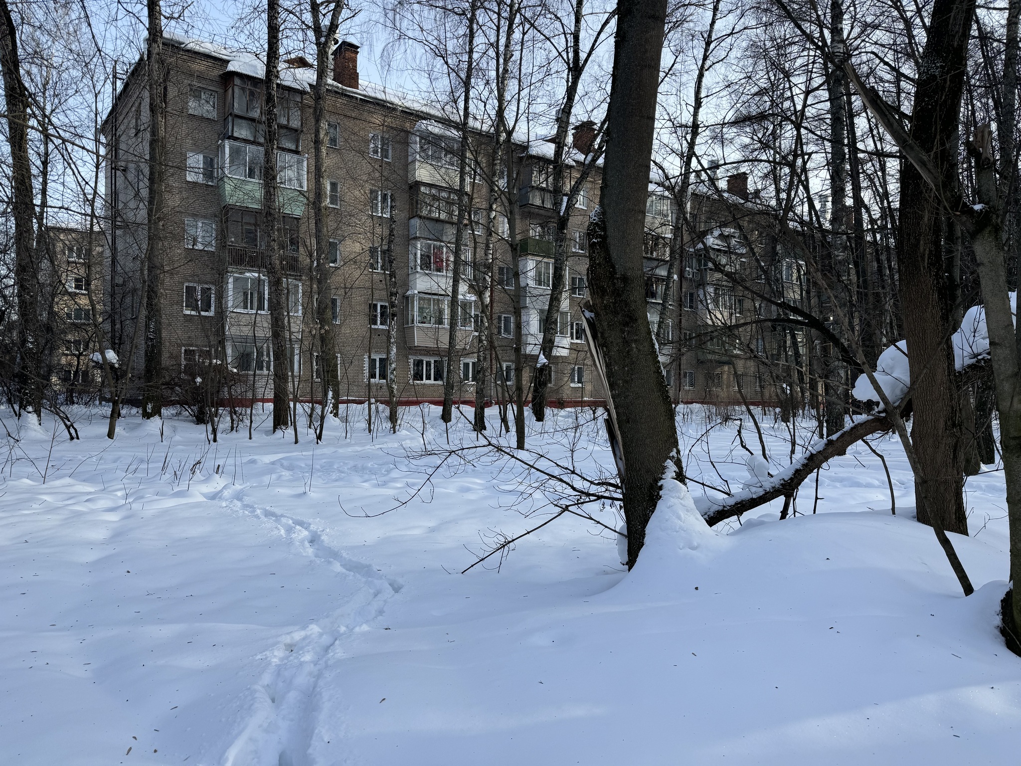 From Mytishchi to Korolev via Losiny Island - Series Photographs
, My, Mobile photography, Street photography, Beautiful view, Elk Island, Beginning photographer, Winter, Snow, Mytischi, City of Queens, Moscow region, The photo, Pond, Longpost