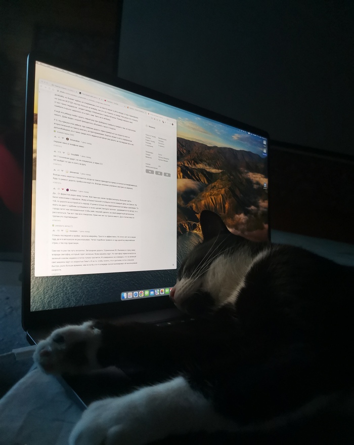 ������ �������, � ��� ���