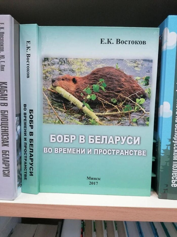 Книжная полка