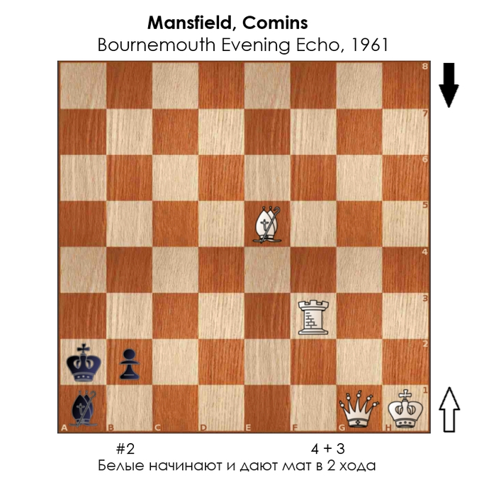 ������������� #389