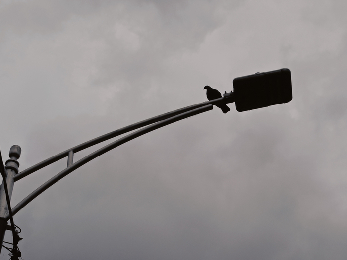 Антон Курдюмов фотограф в Хабаровске <!--noindex--><a href="https://pikabu.ru/story/odinokiy_oryol_13708069?u=http%3A%2F%2Ffoto-27.ru&t=foto-27.ru&h=c4dc76c26257bb313f0b0a64ab74262f5d50ea62" title="http://foto-27.ru" target="_blank" rel="nofollow noopener">foto-27.ru</a><!--/noindex-->