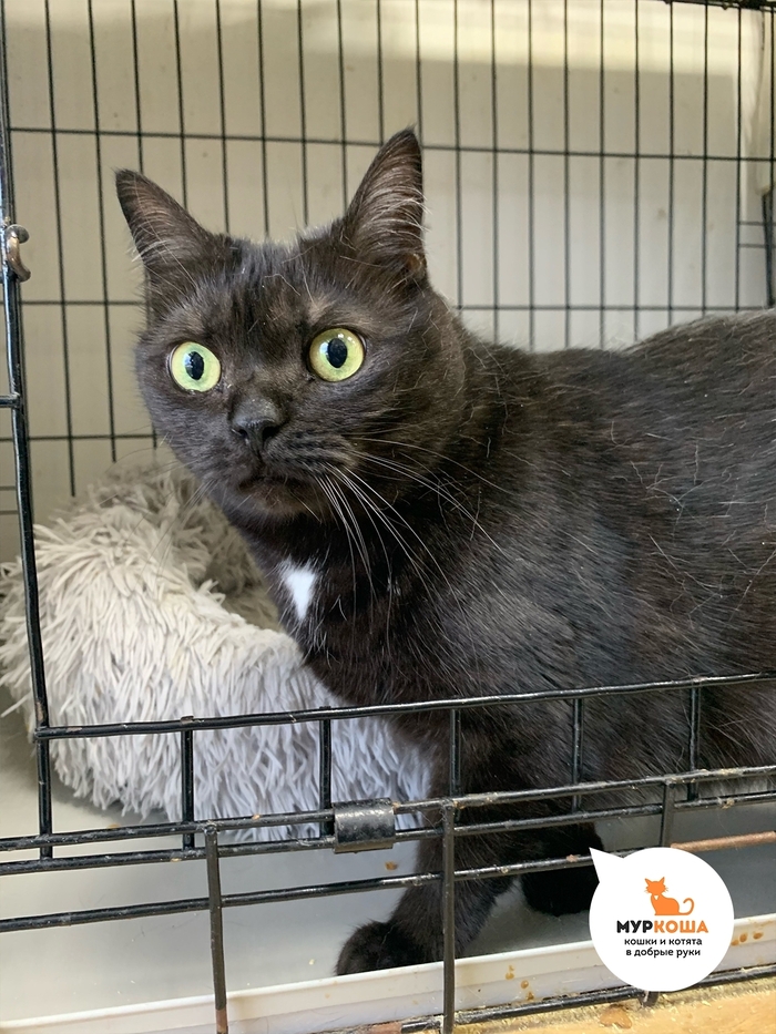 ������� � "�������".