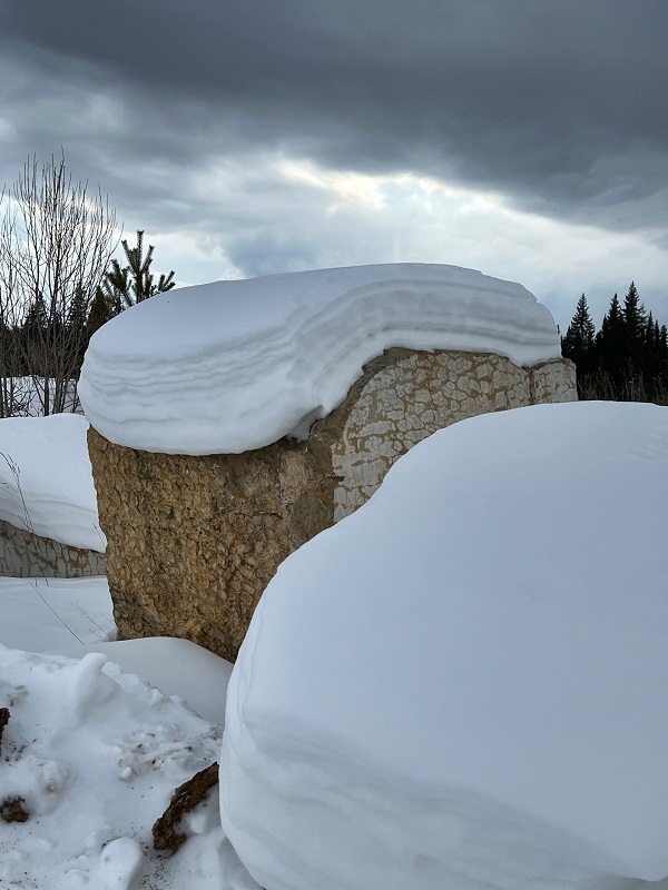 ��������������� ������ � ����������� �������. ����: ���������� �����������