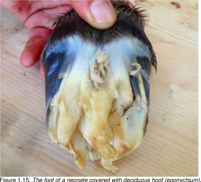 � � �������� ������ ������ ������ ������...