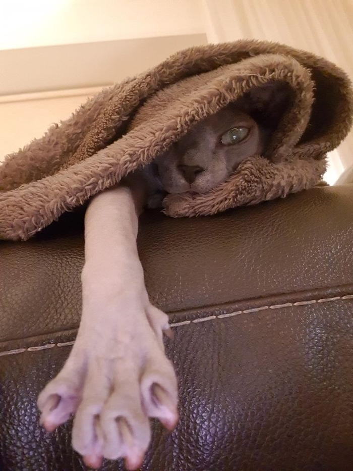 ���� ��������? ���� ���� � ������� � ��� �����, ���� � ��������!