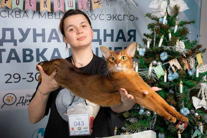 ���� ���� ������� �������!