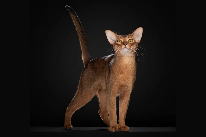 �������������� ������ � ���������� �� ������.