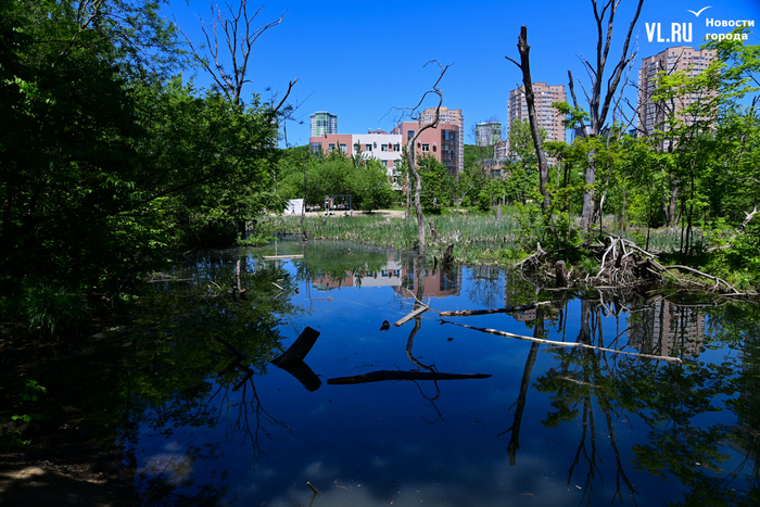 ����� ��� ������. ��, ��� ������ �� ������� ��������� ��������. �� ��� ������ ����� ������.