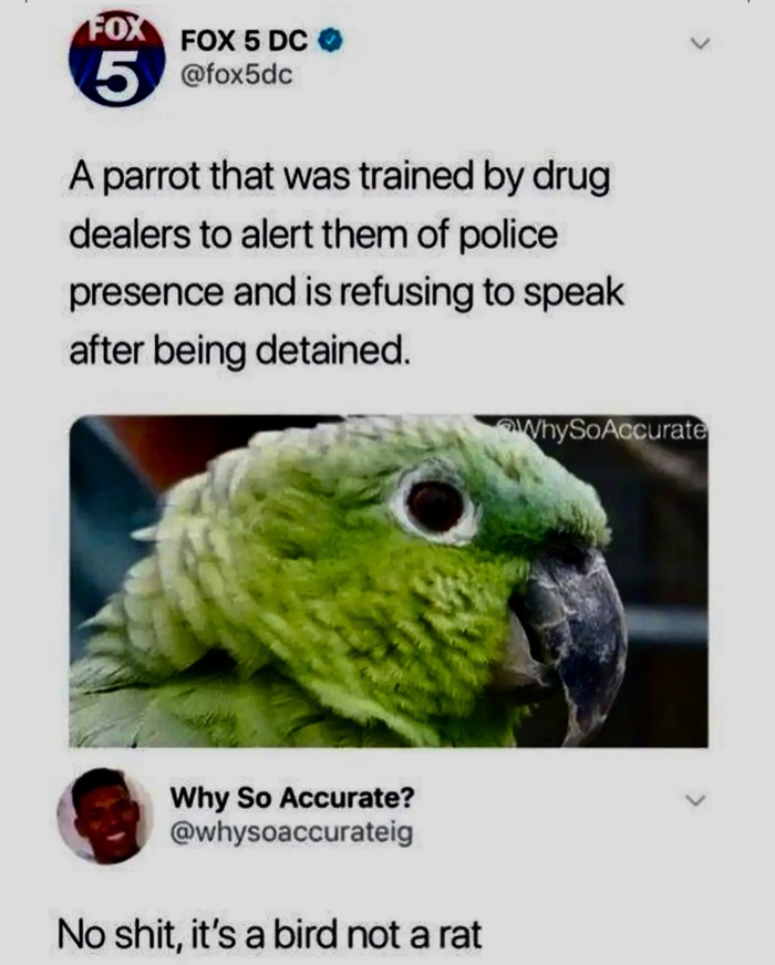 �� �����