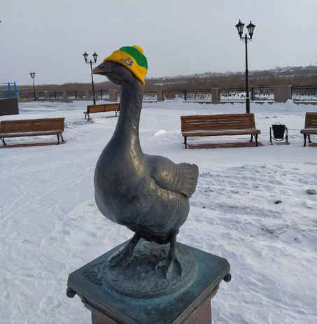 Утеплённый вариант гуся.