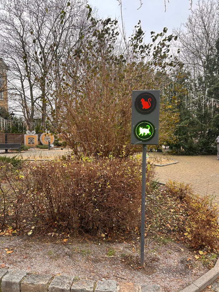 �� ����� ������ ������ (���� ��������� ��� ���)