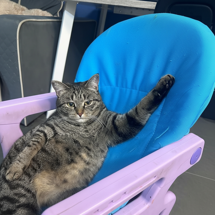 ���� ��� ���������?