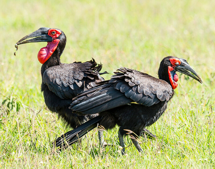 Смотрят в оба.