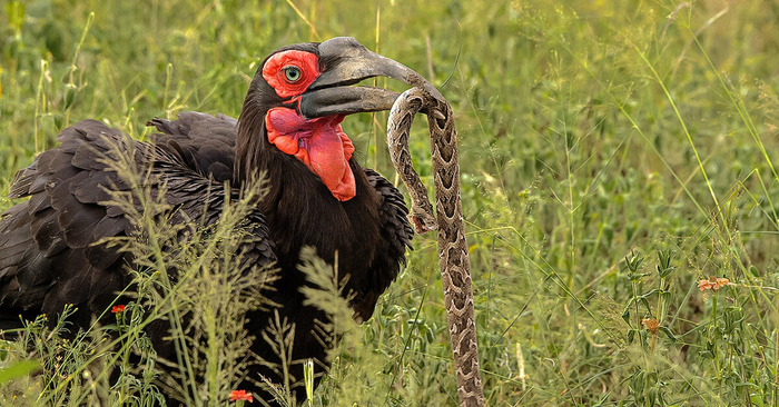 Когда принёс жене самую свежую сплетню с работы.