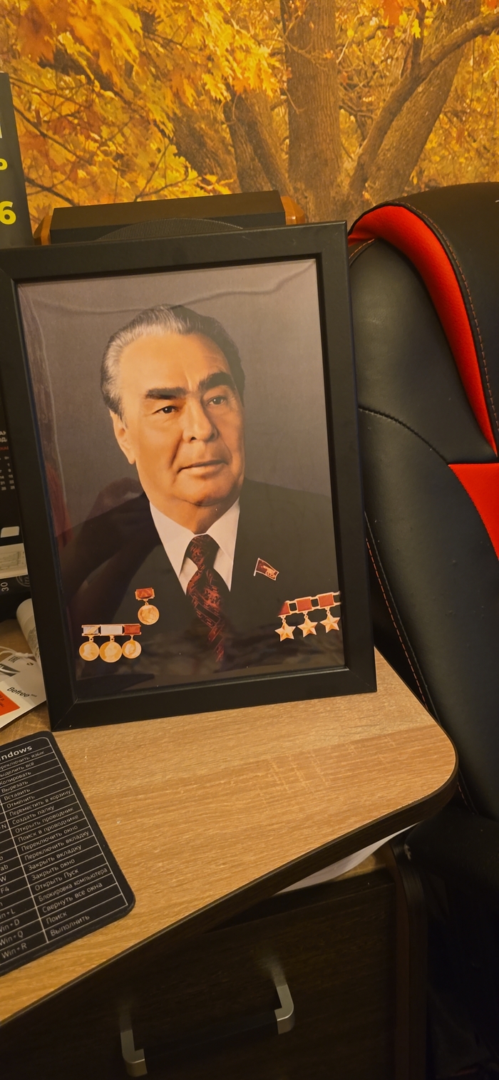 Дорогой Леонид Ильич