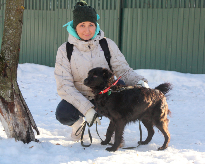 Сам устал ждать