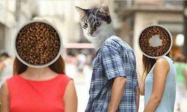 �� ������ ���� ��� ��������� ���������� �������