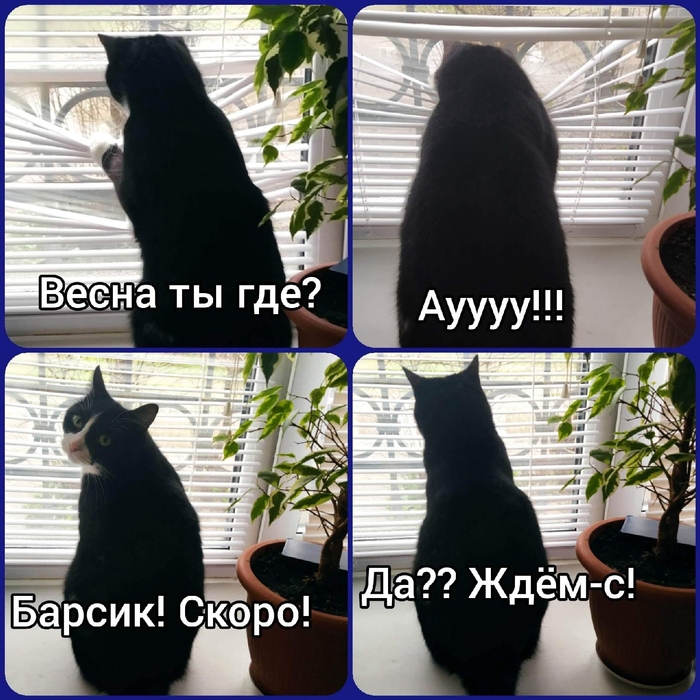 Весна, ты скоро?