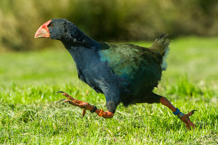 �������� �� ������� �������, ������ ������ �� ����� ��� �������� 4 �������� ���. ������ ����� ���������� �� �����, ����� ����� � ����� ��������.