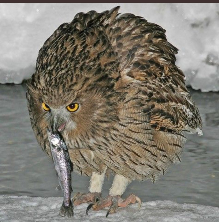 ������ ������� ������!