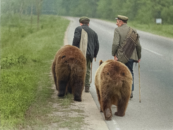 Фотограф: Джекко Василев