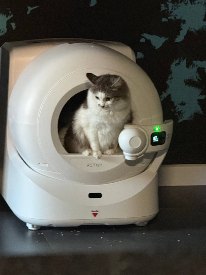 ���� - ��� ��������