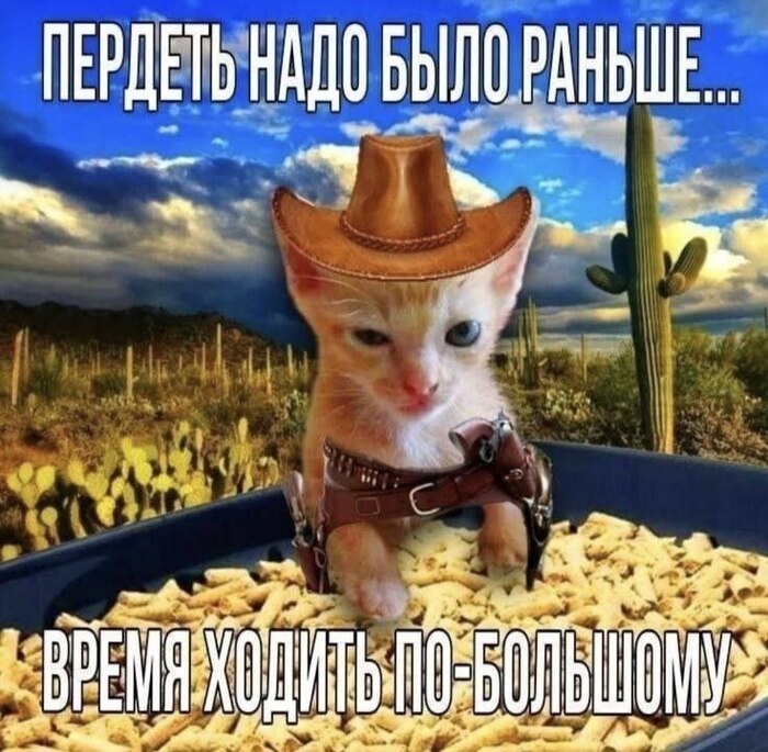 ��-��������