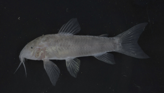 ���� � �� ����, �� � ���� �� �����. ��� ����?