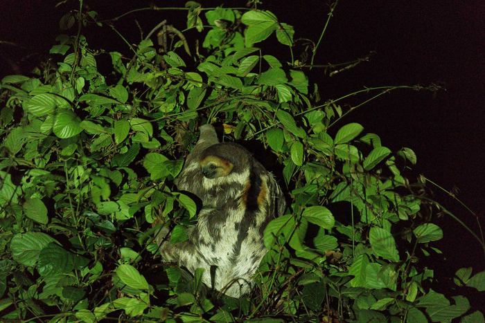 � ���������.