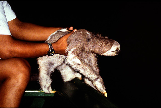 ������ ����� ��������, ��� � ����������� �������� ����������� ���������� � ������ �������� �����, ������� ��� �� �������� �������.