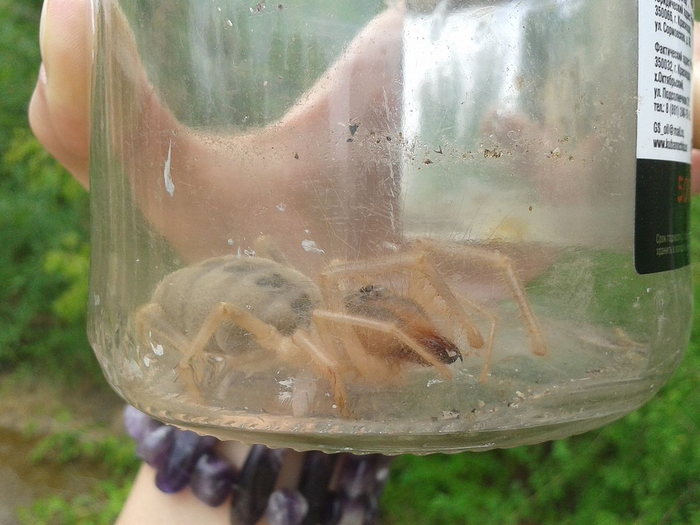 �� ��� ����������?!