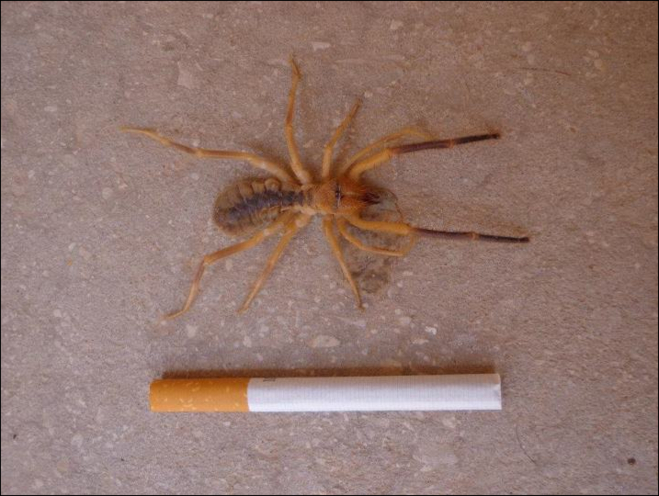 �������� � � �� ����� ���������� ��� ��������, ��� ��� �������� �������!