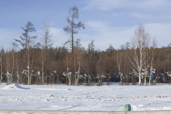 ������� ������� ���� ������ �������� � ��������.