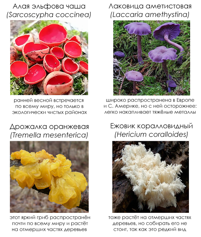 �������� ����� #78