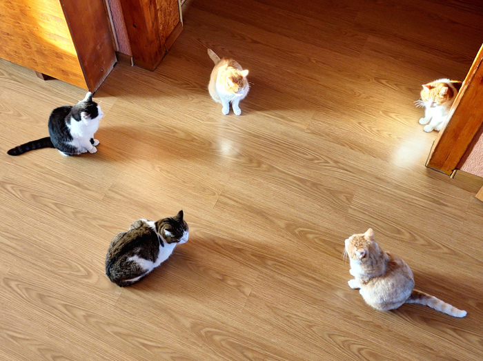 ���, �����!