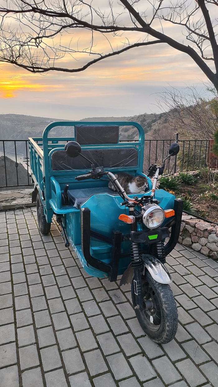 ��������?